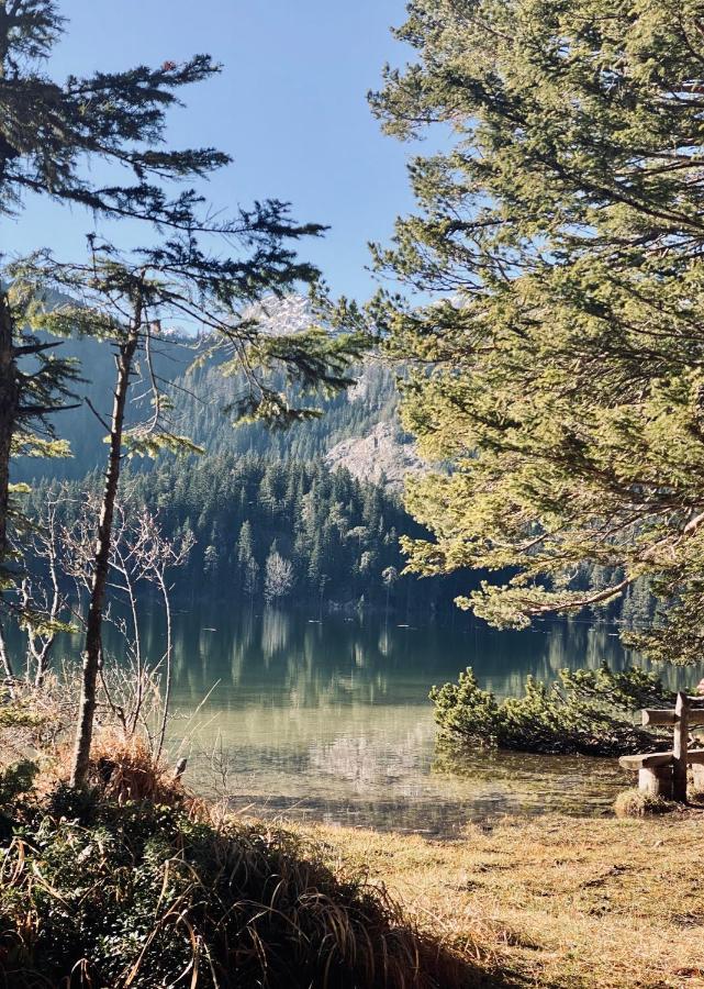 Magia Di Montagna Villa Zabljak  Luaran gambar
